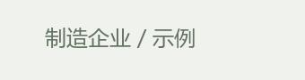 制造企业 / 示例