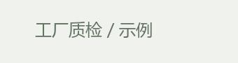 工厂质检 / 示例