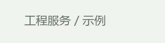 工程服务 / 示例